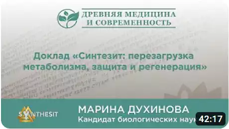 Отзыв видео интервью о Синтезите